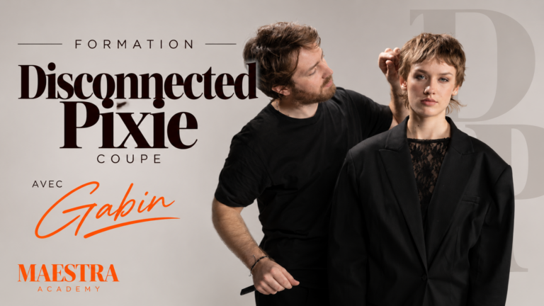 Disconnected Pixie 